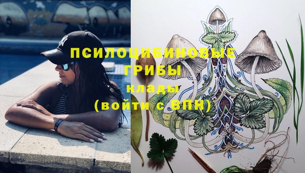 марихуана Абаза
