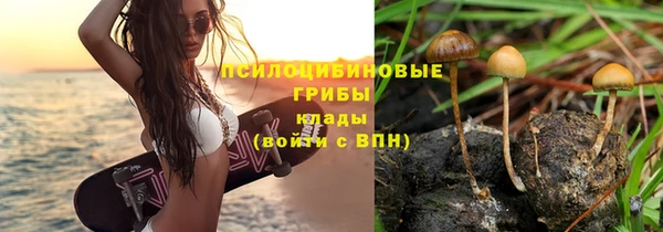 винт Абдулино