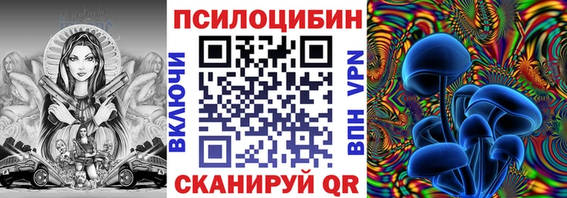 Псилоцибиновые грибы Psilocybine cubensis  Карабаново 